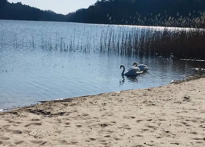 Apartment Gemuetliches Ferienhaus Mit Garten Und Seeblick By Interhome Kołczewo